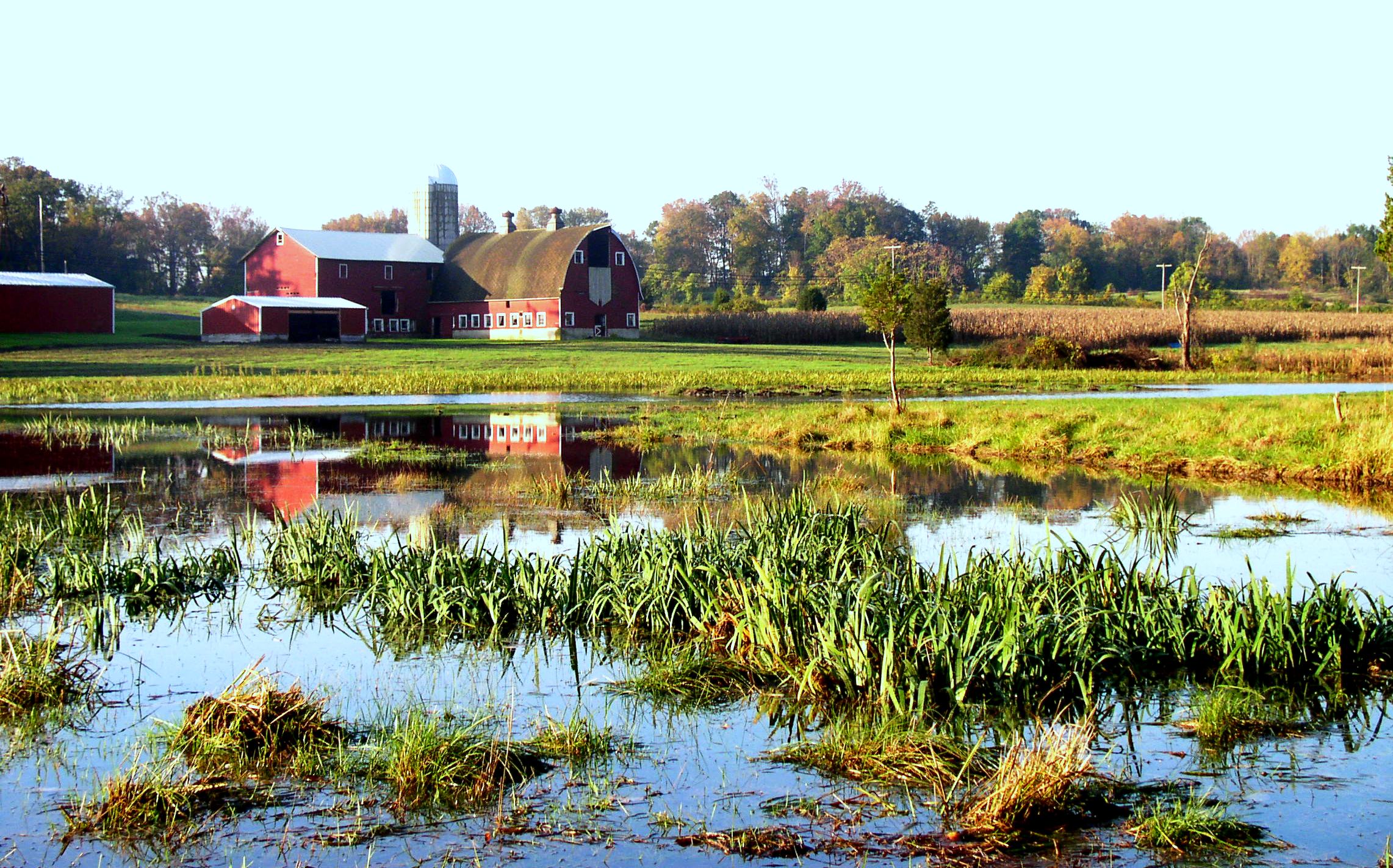 New Jersey-farm